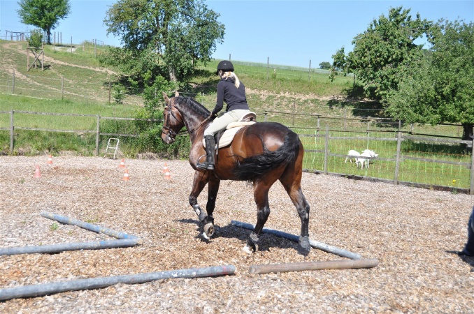 DSC_0368 - HOMEPAGE.JPG